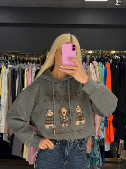 Džemperis